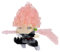 nanoblock - Dragon Ball Super - Goku Black Super Saiyan Rosé, Kit di costruzione serie collezione di personaggi