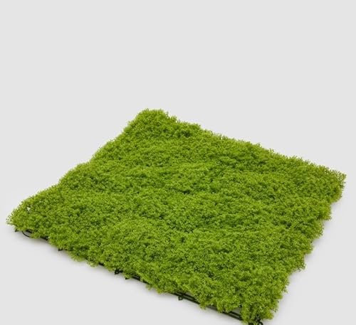 EDG Enzo De Gasperi Enzo De Gasperi Hecke Moschus L. 50 cm L. 50 cm Light Green Anti-UV Kunststoff