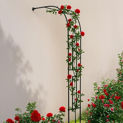 Gartenbogen Rankhilfe für Kletterpflanzen Metall Halbbogen Rosenbögen mit Wandbefestigung, Garten Torbogen Spalier Rankgitter witterungsbeständig(60x240cm)