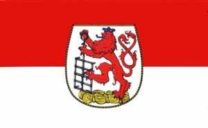 Buddel Bini Flagge Fahne ca. 90x150 cm : Wuppertal Stadt