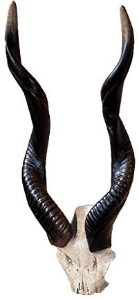 Design Toscano NG32187 Kudu African Wall Trophy