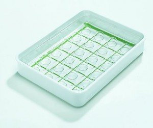 melipul Becher-Tablett 28x1-35 | Stück (1 Stück)