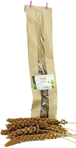 Getzoo Rote Kolbenhirse 5 STK | Schmackhafte Knabberalternative für Nager | Frisch aus Deutschland | Vitamin- & Ballaststoffreich | Fördert Zahngesundheit