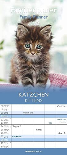 Familienplaner Kätzchen - Kalender 2024 - Alpha Edition-Verlag - Wandkalender mit 5 Spalten zum Eintragen - Familienkalender - 19,5 cm x 45 cm