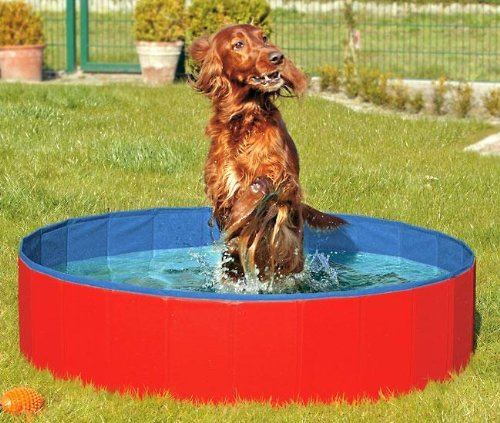 Karlie DOGGY POOL der Swimmingpool für Hunde - Rot-Blau 160 cm-1PACK