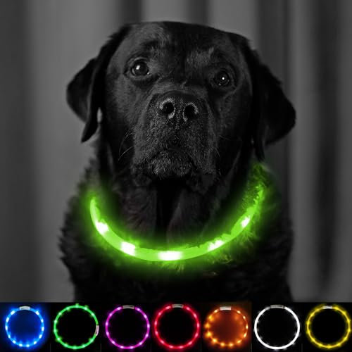 Light Up Dog Collar Green - Extra Bright LED Collar - USB Rechargeable - Cut to Fit (20cm to 70cm) with Static or Flashing Mode - Weatherproof, Easy Clean, High Visibility & Full Guarantee