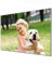 banjado Glas Magnettafel (60 x 40cm) - Magnetwand Glas - Magnetpinnwand als Memoboard - Pinnwand Magnettafel Küche, Büro, Kinderzimmer - Wunschmotiv
