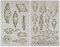 Schlüsselschild Silikonform, antik Schlüsselrosette Epoxidharz Formen für Tortendeko, Fondant Kuchen, Schokolade, Süßigkeiten, Beton, Gips, Zement, Barockstil, 2 Packungen, 20 Muster