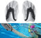 Pagaies De Natation,Pagaie D'entraînement à la Natation,Pagaie De Natation Réglable,pour La Musculation Et La Piscine, Accessoires pour Adultes Et Enfants, Unisexe