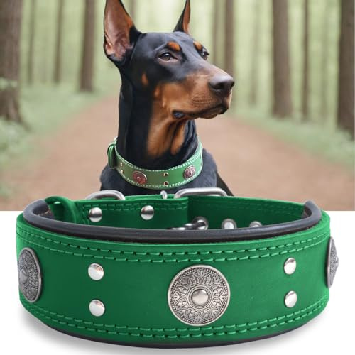 Hundehalsband Leder, 5 cm Breites Robustes Echtes Lederhalsband, Handgefertigt, Weich und Luxuriös, Auffällige Beste Wahl für Große und Mittelgroße Hunderassen, Grün L