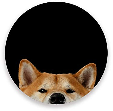 Untersetzer für Getränke, 2 Stück, Peeking Shiba Inu Hund, runder saugfähiger Keramik-Steinuntersetzer mit Korkboden für Tasse, Kaffeetassen, Einweihungsgeschenk