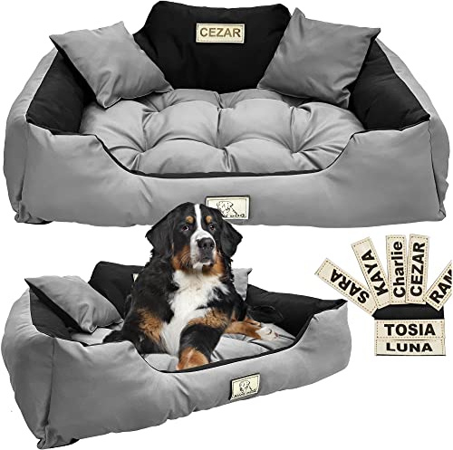 EDANTI Hundebett Hundekissen Katzenbett Personalisiert Hundesofa mit Namen L - XL für große mittelgroße & kleine Hunde (115x95, Grau)