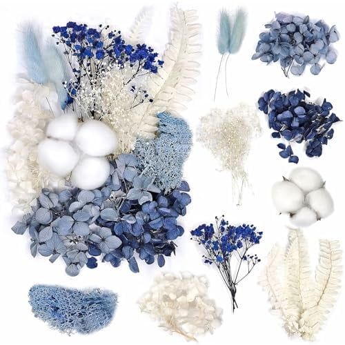 RTRTGS Natürliche Getrocknete Blumen, getrocknete hortensien, Trockenblumen Set, trockenblumen deko, für DIY Gepresste Blumen, Scrapbooking, DIY-Kerze, Schmuckanhänger Basteln