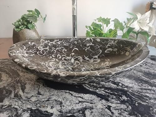 Lavabo de baño de mármol fósil negro 100% natural Shell piedra lavabo Oval Design Bowl