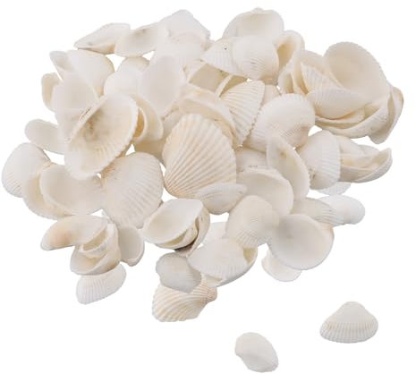 Conchas Naturales, Marinas Conchas Mixtas, Concha De Vieira Pequeña Vieiras, 2 cm-4cm Conchas de Playa de Diversos Tamaños de mar para Rellenos de Jarrones Fiesta Temática Decoración de Bodas Acuario