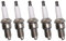 BOOSTI 5x Zündkerze für Hecht Einhell Fuxtec Brast Scheppach Rasenmäher Rasentraktoren Generator F6TC F7TC F7RTC LR17YC BP6ES RC12YC N9YC W7DC