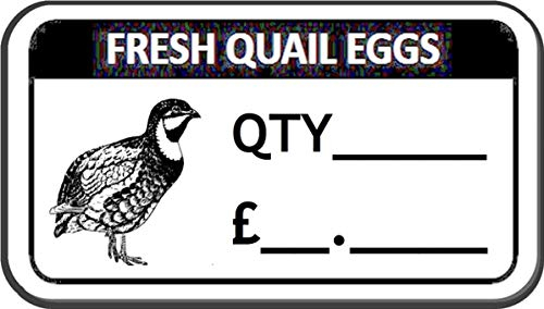 100 x Fresh Quail Egg Box Labels Quail Egg Stickers