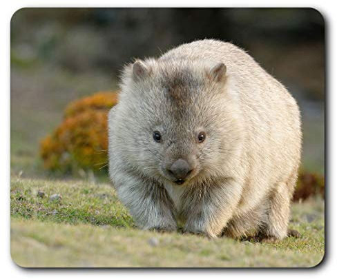 Cute Wombat Australia Animal Mouse Mat Pad Computer PC Laptop Gaming Office Home Desk Accessory Gadget 2295