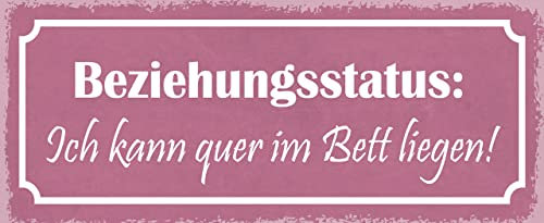 mrdeco Metall Schild 27x10cm gewölbt Beziehungsstatus quer im Bett Deko Blechschild Tin Sign