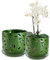 EFISPSS Vaso per orchidee con fori, vasi per piante in ceramica da 12,5 + 15,2 cm, con fori di drenaggio e vassoio, favorisce la circolazione dell'aria e il drenaggio, vasi da fiori per
