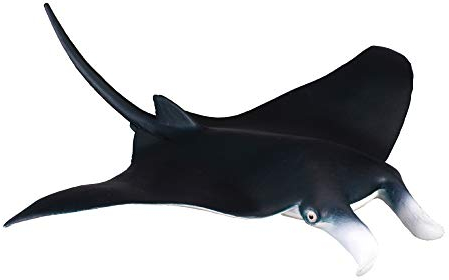 Collecta - 3388040 – Figur – Meerestiere – Mantarochen