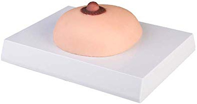 Brustkrebs-Tastmodell