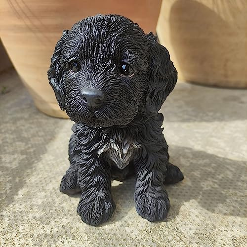 VIVID ARTS PP COCKAPOO PUPPY BLACK