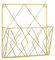 TSQZE Porte Revues Suspendu Porte Magazine Metal, Porte-journaux Panier à Journaux Porte Revue Mural avec 2 Crochets pour Magazines, Livres Et Documents De Bureau (Doré)