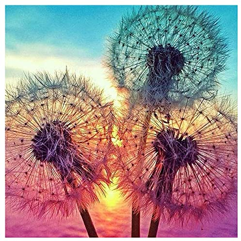 DIY 5D Square Diamond Painting Strass Glitzer 40x40cm Quadratische Steine Strasssteine Craft Buddy Crystal Art Malen mit Diamanten Puzzle Diamant Mosaik Basteln Erwachsene Löwenzahn Pusteblume