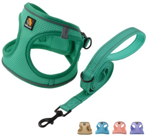 BELLA & PAL Small Dog Harness and Leash Set, Step-in Puppy Harness | Breathable Soft Mesh, Reflective Strips, Secure Buckle, No Pull Vest for Puppies/Extra Small/Small Dogs, Green, L