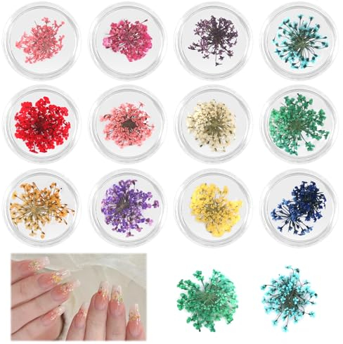 12 Boxen Getrocknete Blumen für Nägel Nail Art Flowers Set Nageldekorationen Getrocknete Blumen für Nägel Blumen Kit Getrocknete Blumen Zubehör Set für Nägel