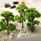 10 Stück Modell Bäume Miniatur, Modellbau Zubehör, Zug Bäume Eisenbahn Landschaft Diorama Baum Architektur Bäume, Stücke Modell Bäume für DIY Landschaft, Mini Landschaft Landschaftsgestaltung