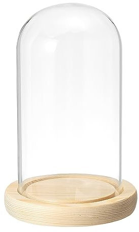 PATIKIL 5.9x3.1 Klar Cloche Glaskuppel Glas Glocke Vitrine Tischplatte Tafelaufsatz mit Holzsockel für LED Licht Pflanzen Heimdekoration
