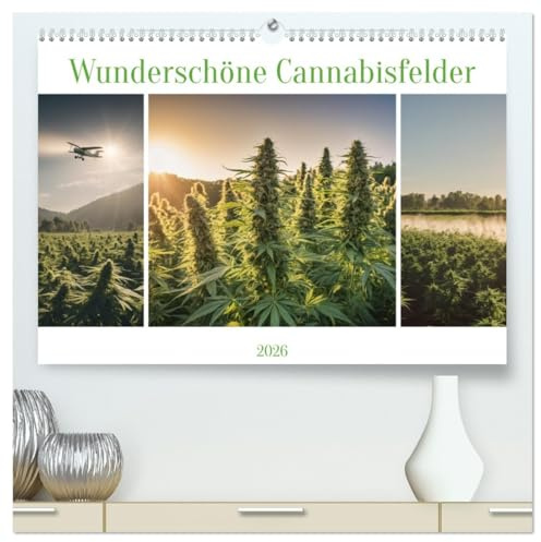 Wunderschöne Cannabisfelder (hochwertiger Premium Wandkalender 2026 DIN A2 quer), Kunstdruck in Hochglanz: Entdecken Sie 12 eindrucksvolle Cannabis-Landschaften. (CALVENDO Natur)