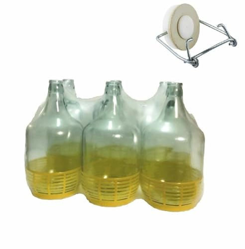 mille idee 3X Bottiglie Bottiglia damigiane Dama Fiasco di Vetro 5 Litri per Il Vino 35x17x17cm Tappo Meccanico