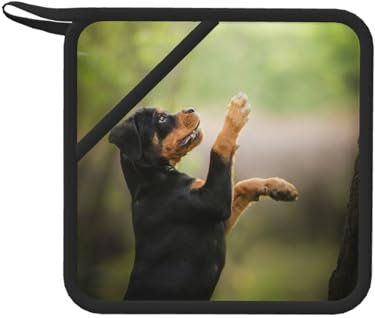Rottweiler Animali Cuccioli Cani Bokeh, Presine, Presine da cucina in silicone anti-caldo, resistenti al calore