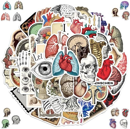 Organe Aufkleber, 2 x 50 Stück Anatomie der Organe Aufkleber | Cartoon organs Anatomie Diagramm Aufklebers, Wasserdicht Vinyl Aufklebers, für Laptop Telefon Gitarre Skateboard Fahrrad