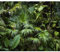 murando - Vlies Fototapete Monstera3D Effekt 450x315 cm - Foto Tapete Schlafzimmer Wohnzimmer Moderne Vliestapete XXL Wandtapete Motivtapeten 3d Effekt Dekoration - tropische Blätter b-B-0312-a-a