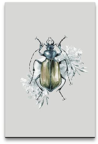 Paul Sinus Art Wandbild auf Leinwand 60x90cm Käfer Pflanzen Wasserfarben Aquarell Grau Dekorativ