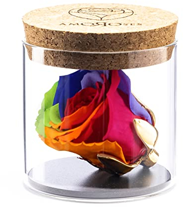 Amoroses Bijou - Rosa Stabilizzata Eterna con calice placcato oro 24K in barattolo di vetro | Idea Regalo (Rosa Multicolore Arcobaleno)