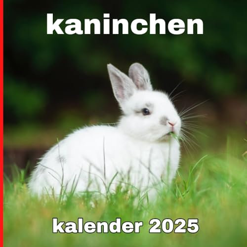 Kaninchen kalender 2025