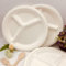 EcoShin 50 Pack 100% Compostable 3 Compartment Plates – 10 inch Heavy-Duty Disposable Biodegradable Paper Plates – Eco-Friendly Bagasse Large Dinner Plates for Parties Christmas Daily Meals BBQ