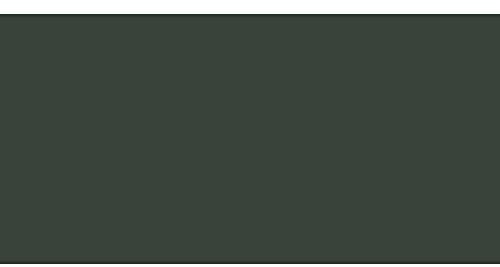 Caran d'Ache Artist Neopastel, Olive Black (7400.019)