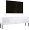 3E 3xE living.com TV- Schrank in Weiß Matt/Weiß Hochglanz mit Beinen in Schwarz, A: B: 140 cm, H: 52 cm, T: 32 cm
