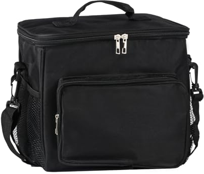 10L Insulated Lunch Cooler - Collapsible, Portable Box Holder for Men/Girls/Kids/Food/Beverage/Picnic/Beach/School/Office Work - Black