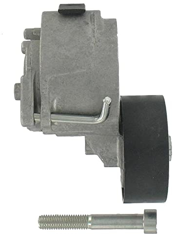 SKF VKM 32046 Rullo tenditore cinghia Poly-V Rullo tendicinghia Puleggia tendicinghia Rullo tenditore cinghia