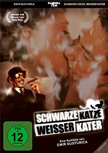 Schwarze Katze, weißer Kater