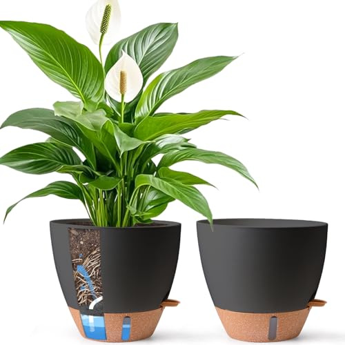 T4U Selbstbewässerungstopf 30 cm 2er Set, großer Blumentopf，Schwarz | Für Ficus, Strelitzie und Palmen im Wohnraum oder auf der Terrasse; der tiefe Speicher unterstützt längere Gießintervalle