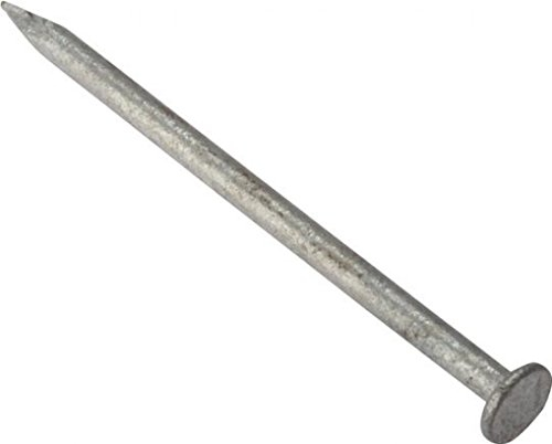 Forgefix RH50GB500 - Set di chiodi a testa larga galvanizzati, 500 g