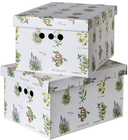 SOFTILLO Pack of 2 Decorative Storage Boxes With Lids Home Office Bedroom Wardrobe Box Organiser Archive Box with Lid Multi-Use General Storage Archive Box with Lid Stylish Set Large Herbs